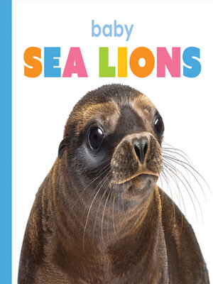 cover image of Baby Sea Lions